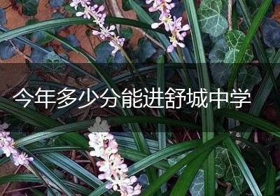 今年多少分能进舒城中学