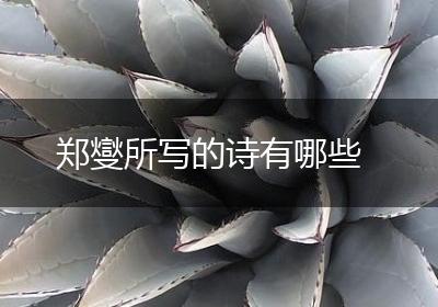 郑燮所写的诗有哪些