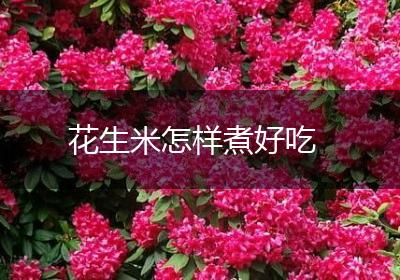 花生米怎样煮好吃