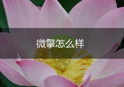 微擎怎么样