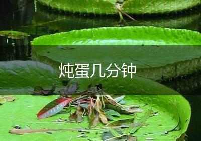 炖蛋几分钟