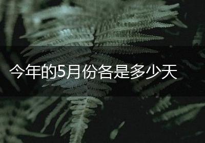 今年的5月份各是多少天