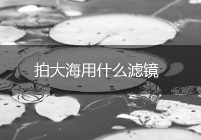 拍大海用什么滤镜
