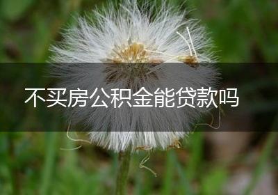 不买房公积金能贷款吗