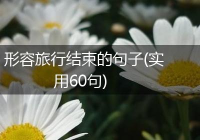 形容旅行结束的句子(实用60句)