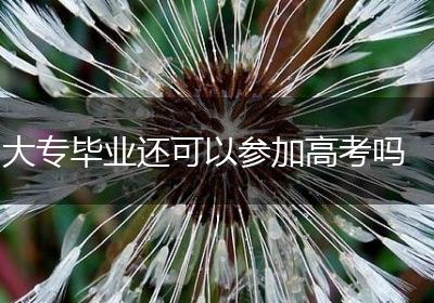 大专毕业还可以参加高考吗