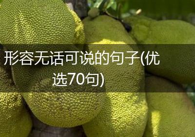 形容无话可说的句子(优选70句)