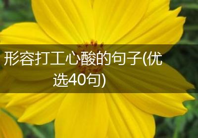 形容打工心酸的句子(优选40句)