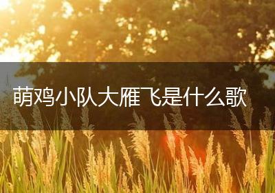 萌鸡小队大雁飞是什么歌