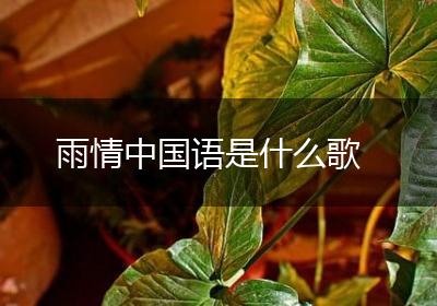 雨情中国语是什么歌
