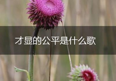 才显的公平是什么歌