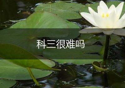 科三很难吗