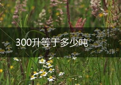 300升等于多少吨