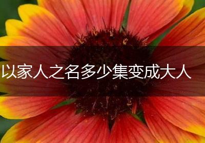 以家人之名多少集变成大人