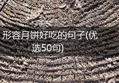 形容月饼好吃的句子(优选50句)