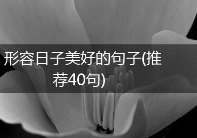 形容日子美好的句子(推荐40句)