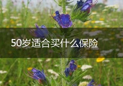 50岁适合买什么保险