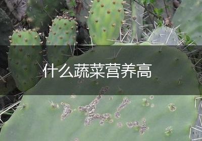 什么蔬菜营养高