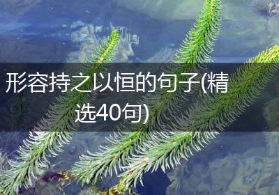 形容持之以恒的句子(精选40句)