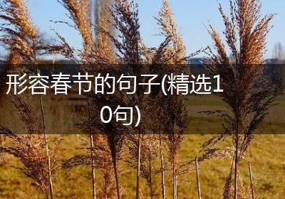形容春节的句子(精选10句)