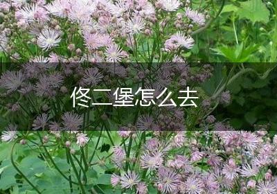 佟二堡怎么去
