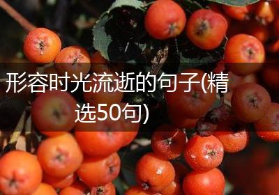 形容时光流逝的句子(精选50句)
