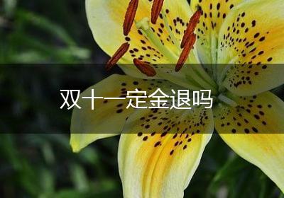 双十一定金退吗