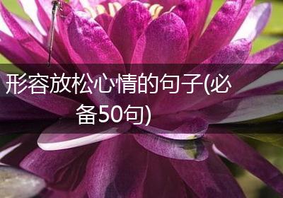 形容放松心情的句子(必备50句)
