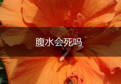 腹水会死吗