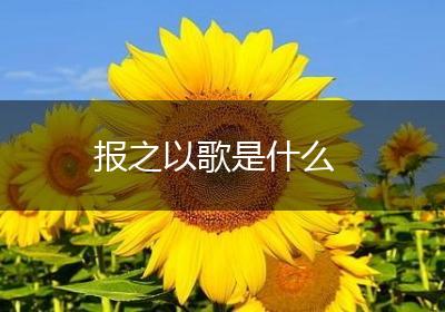 报之以歌是什么