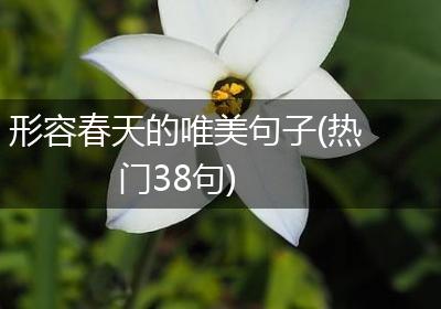 形容春天的唯美句子(热门38句)