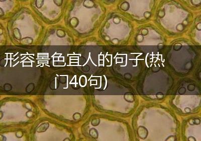 形容景色宜人的句子(热门40句)
