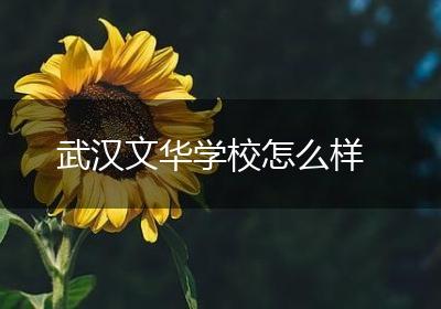 武汉文华学校怎么样