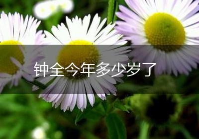 钟全今年多少岁了