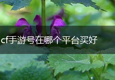 cf手游号在哪个平台买好