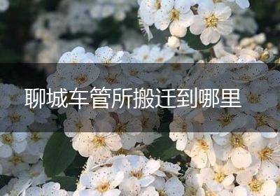 聊城车管所搬迁到哪里