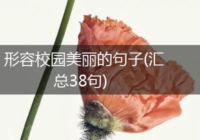 形容校园美丽的句子(汇总38句)