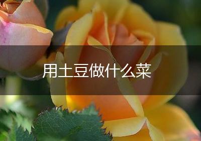 用土豆做什么菜
