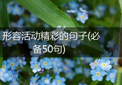 形容活动精彩的句子(必备50句)