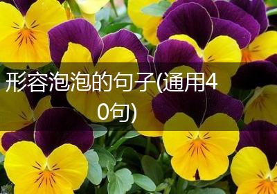 形容泡泡的句子(通用40句)