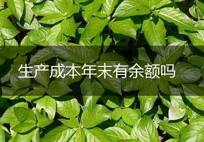 生产成本年末有余额吗
