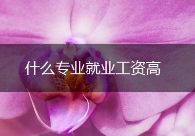 什么专业就业工资高