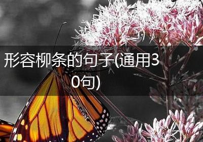 形容柳条的句子(通用30句)