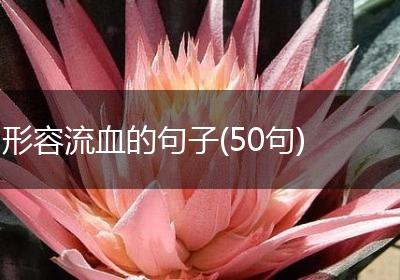形容流血的句子(50句)