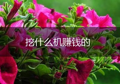 挖什么机赚钱的