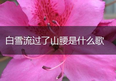白雪流过了山腰是什么歌