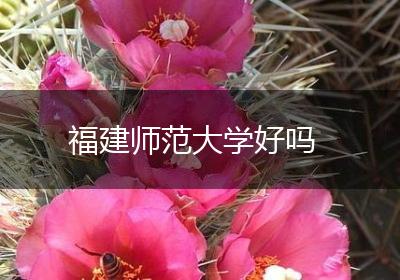 福建师范大学好吗