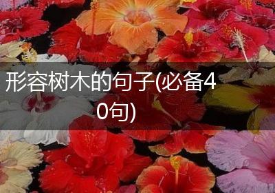 形容树木的句子(必备40句)