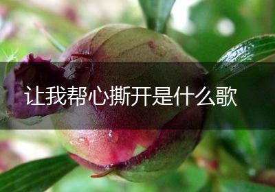 让我帮心撕开是什么歌