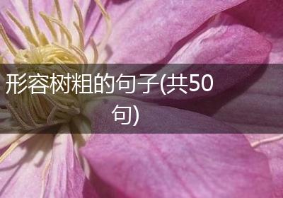 形容树粗的句子(共50句)
